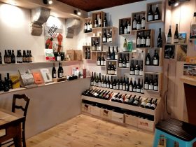 COS_Librairie – Cave à vins “Dans la forêt”_bar à vin