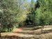 EQUI_Arboretum de Charvols_sentier