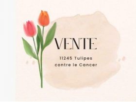 11245 tulipes contre le cancer