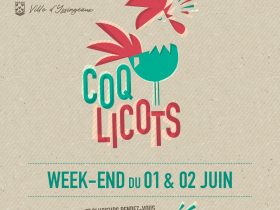 COQ’LICOTS 2024 – IMPRESSIONS SAUVAGES