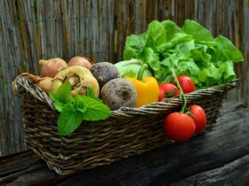 Légumes et Saveurs