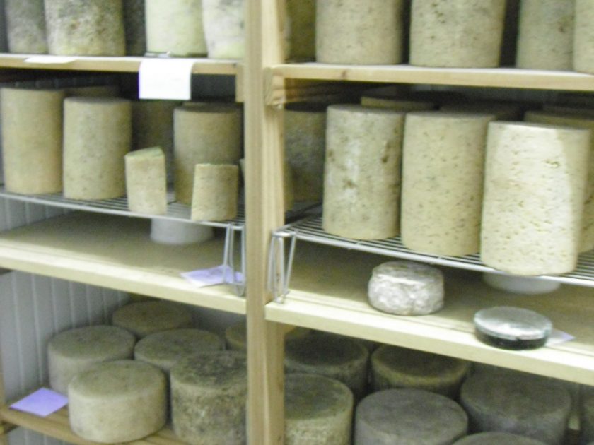 PDT_PDT_Pacages Caseï_fromagerie